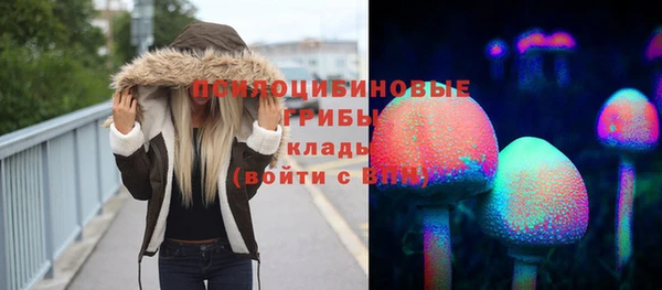 МДПВ Арсеньев
