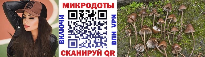 Галлюциногенные грибы Psilocybe  Купить закладки  Дмитриев 